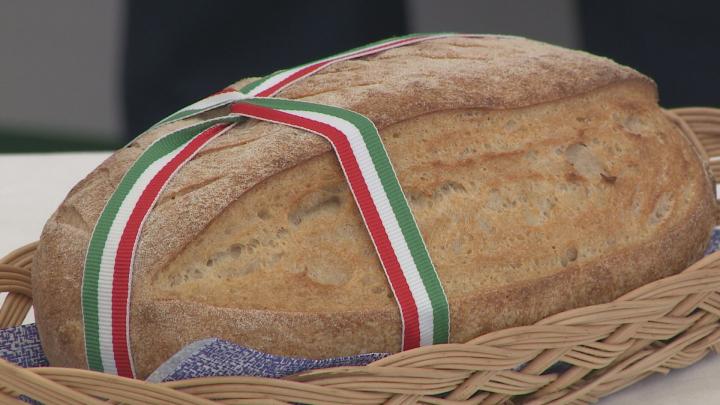 Magyarok kenyere és a helyi termékek