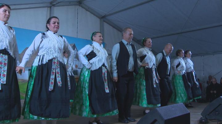 Szüreti fesztivál Szederkényben