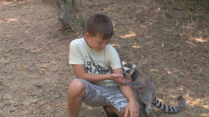 Zoo tábor Pécsett