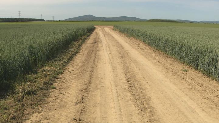 Ukrajna EU csatlakozása ártana a hazai agráriumnak