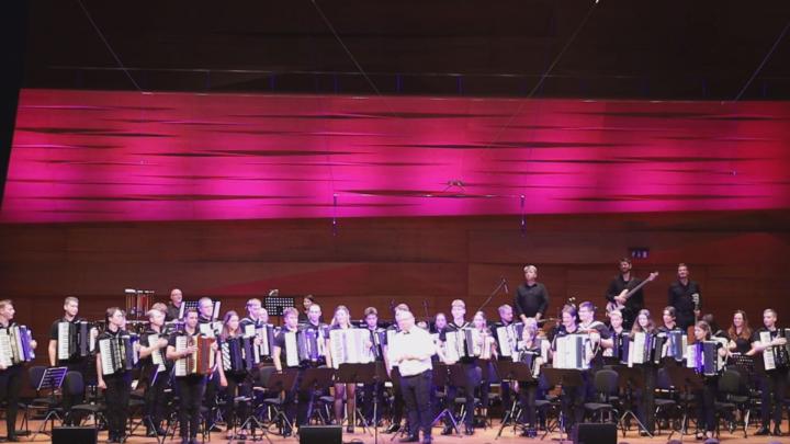 Megyei harmonika fesztivál II. rész